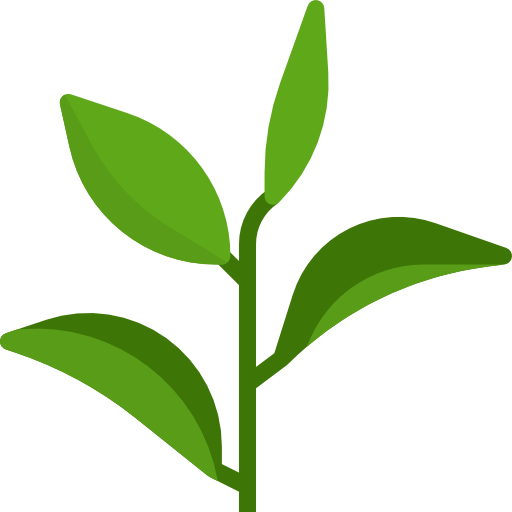 green-tea